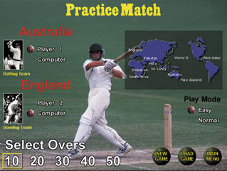 World Cricket Screenshot